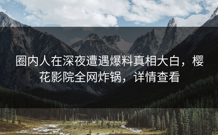圈内人在深夜遭遇爆料真相大白，樱花影院全网炸锅，详情查看