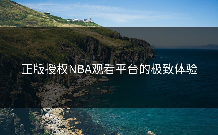 正版授权NBA观看平台的极致体验