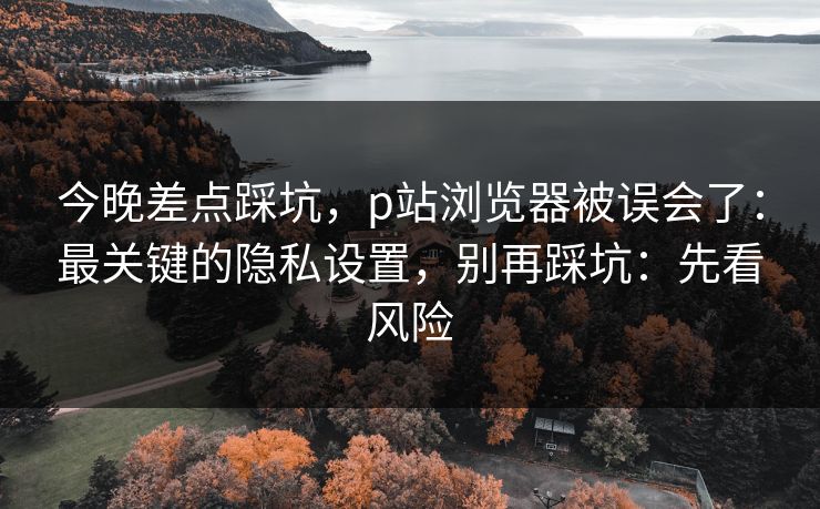 今晚差点踩坑,p站浏览器被误会了:最关键的隐私设置,别再踩坑:先看风险 今晚差点踩坑,p站浏览器被误会了:最关键的隐私设置,别再踩坑:先看风险