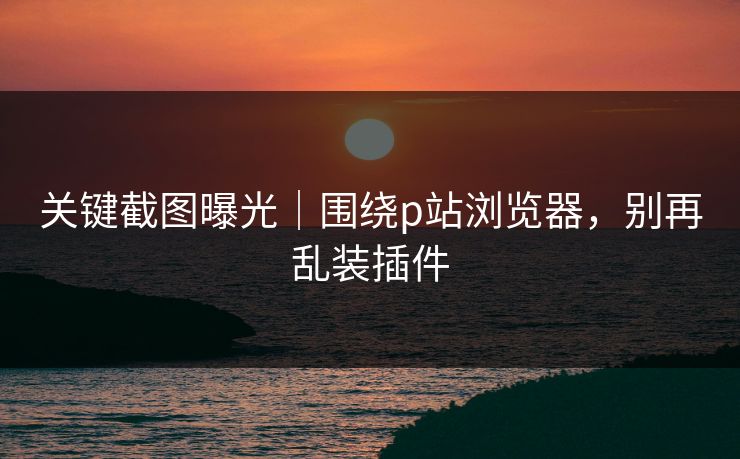 关键截图曝光｜围绕p站浏览器，别再乱装插件